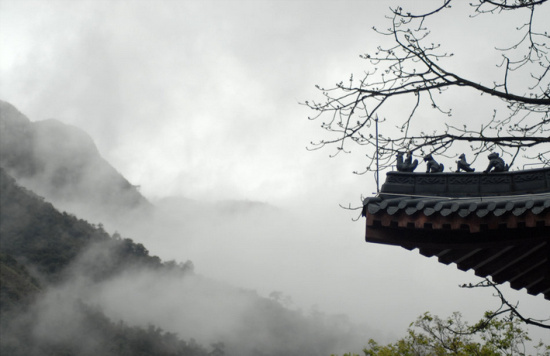飞来寺 飞来寺