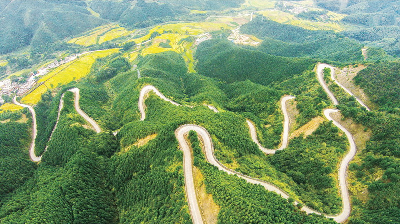 365bet中文的公路