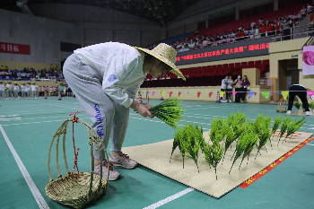 图片2.JPG