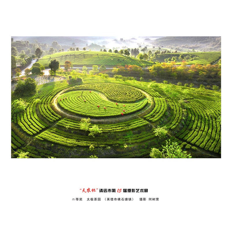 二等奖  太极茶园（英德市横石塘镇）  摄影  何树荣.jpg