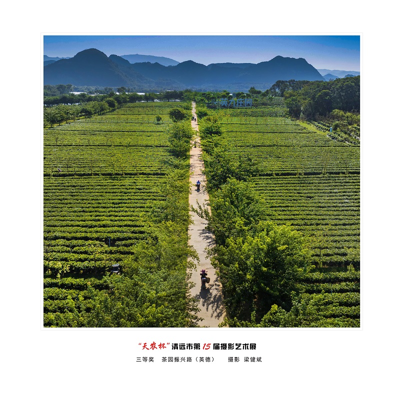 三等奖  “茶园振兴路” 摄影 梁建斌.jpg