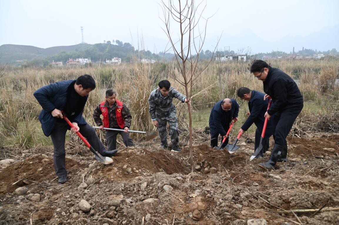 兵“林”城下 退役军人走在绿美365bet中文生态建设“第一方阵”，万株新苗筑牢粤北生态屏障